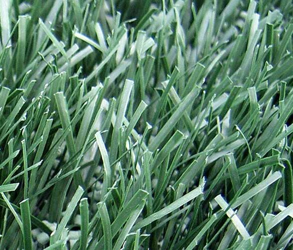 close up of artificial turf