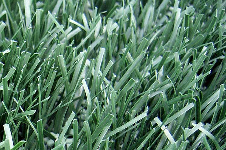 close up of artificial turf