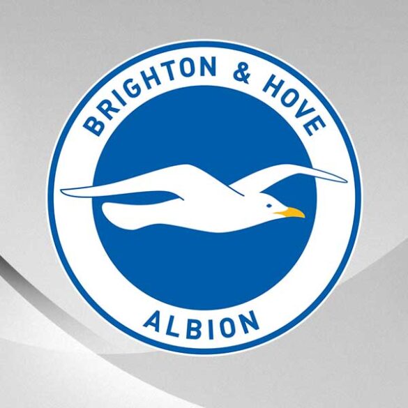 Brighton & Hove Albion logo