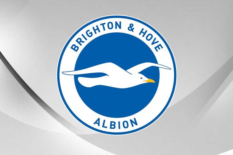 Brighton & Hove Albion logo