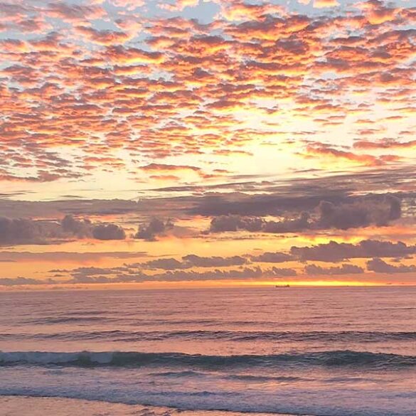 Australian sunrise courtesy of Katie Stengel.